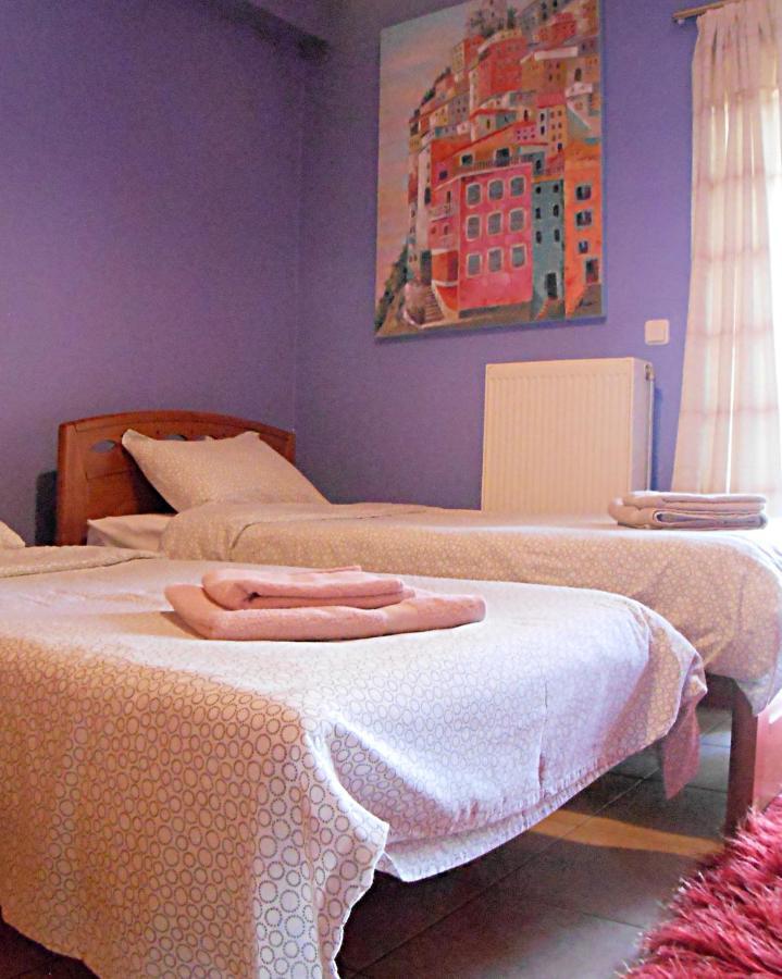 Secret Garden 76 Sq.M. Apartment Close To City Center Ioánnina Exteriör bild